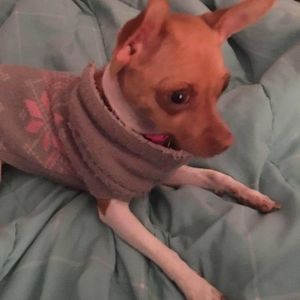 Meet your Posher, Amanda